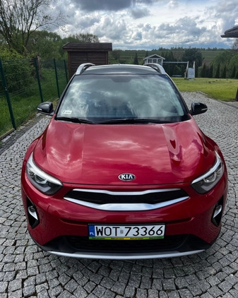 Kia Stonic cena 68500 przebieg: 41000, rok produkcji 2019 z Kielce małe 277